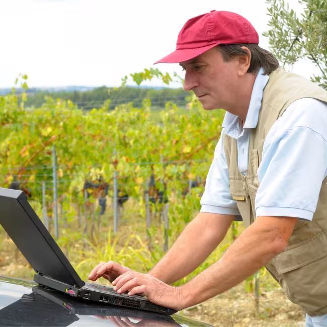 Man Using Laptop on the Hood of a Truck in a Vineyard